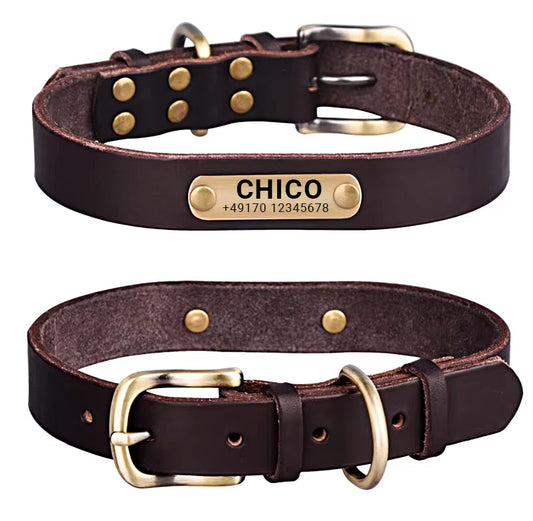 Hundhalsband i äkta läder med mässingsspänne i fyra färger och gratis gravyr av namn och telefonnummer