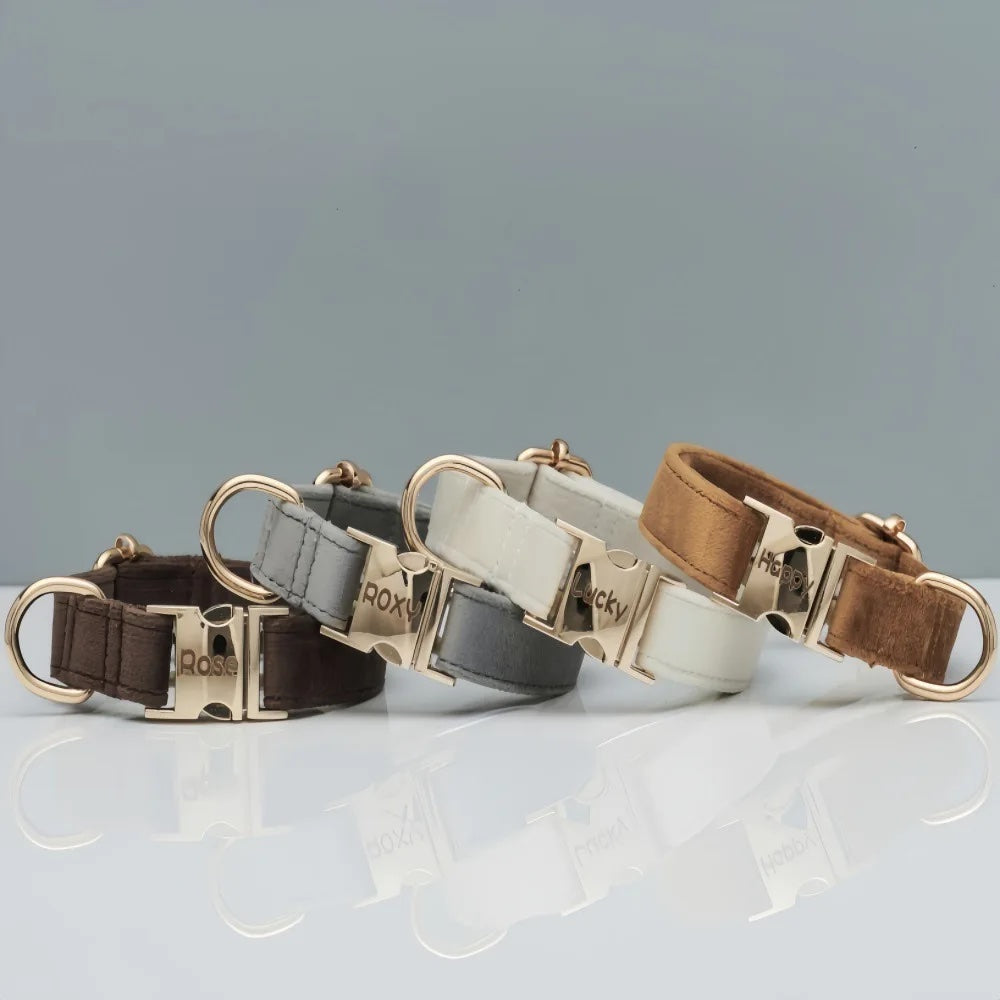 Personligt sammet hundhalsband "Emilia" med gravyr – Justerbart & Elegant