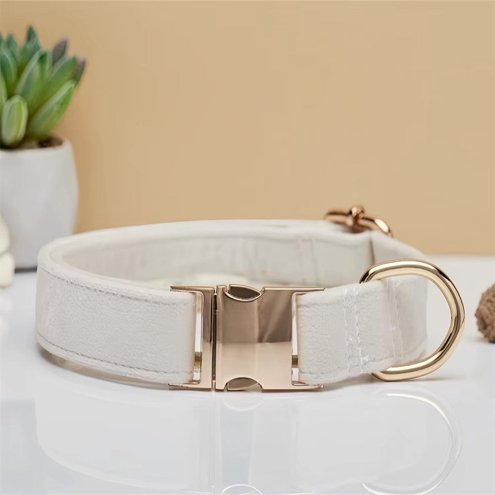 Personligt sammet hundhalsband "Emilia" med gravyr – Justerbart & Elegant