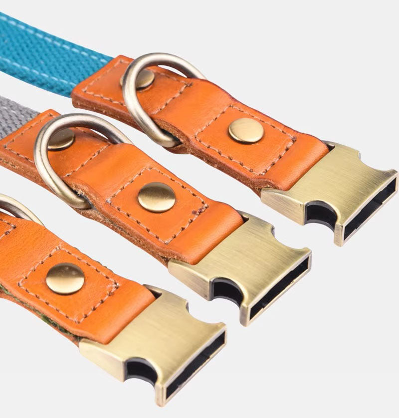Hundhalsband "Valdo" med gravyr - robust PE-tyg & läder - matt mässing - marinblå, ljusblå eller grön (S-L)
