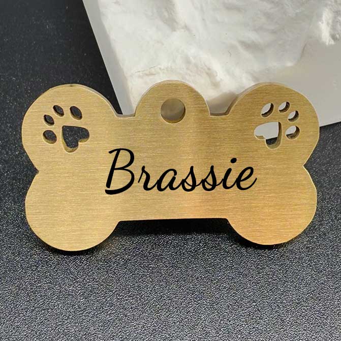 Elegant hundmärke "Brassie" i mässing med tassdesign och personlig gravyr