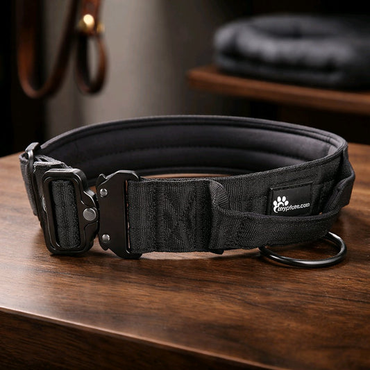 Taktiskt hundhalsband för stora hundar graverat med namn