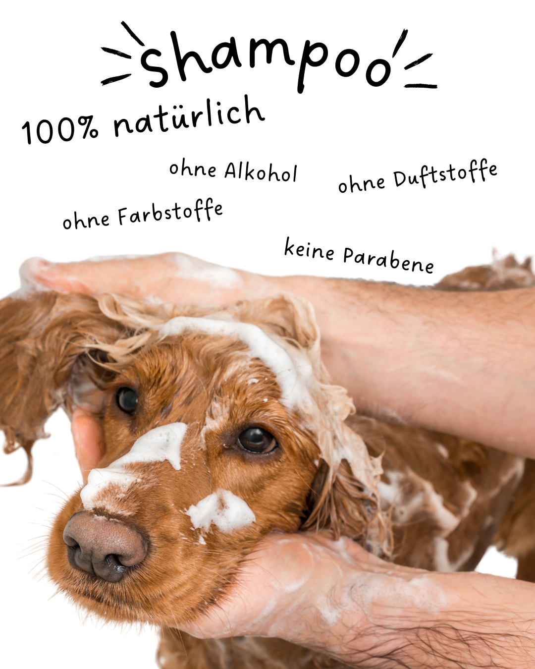 Riolino Shiny Fur Shampoo - Mild vård för en glänsande päls