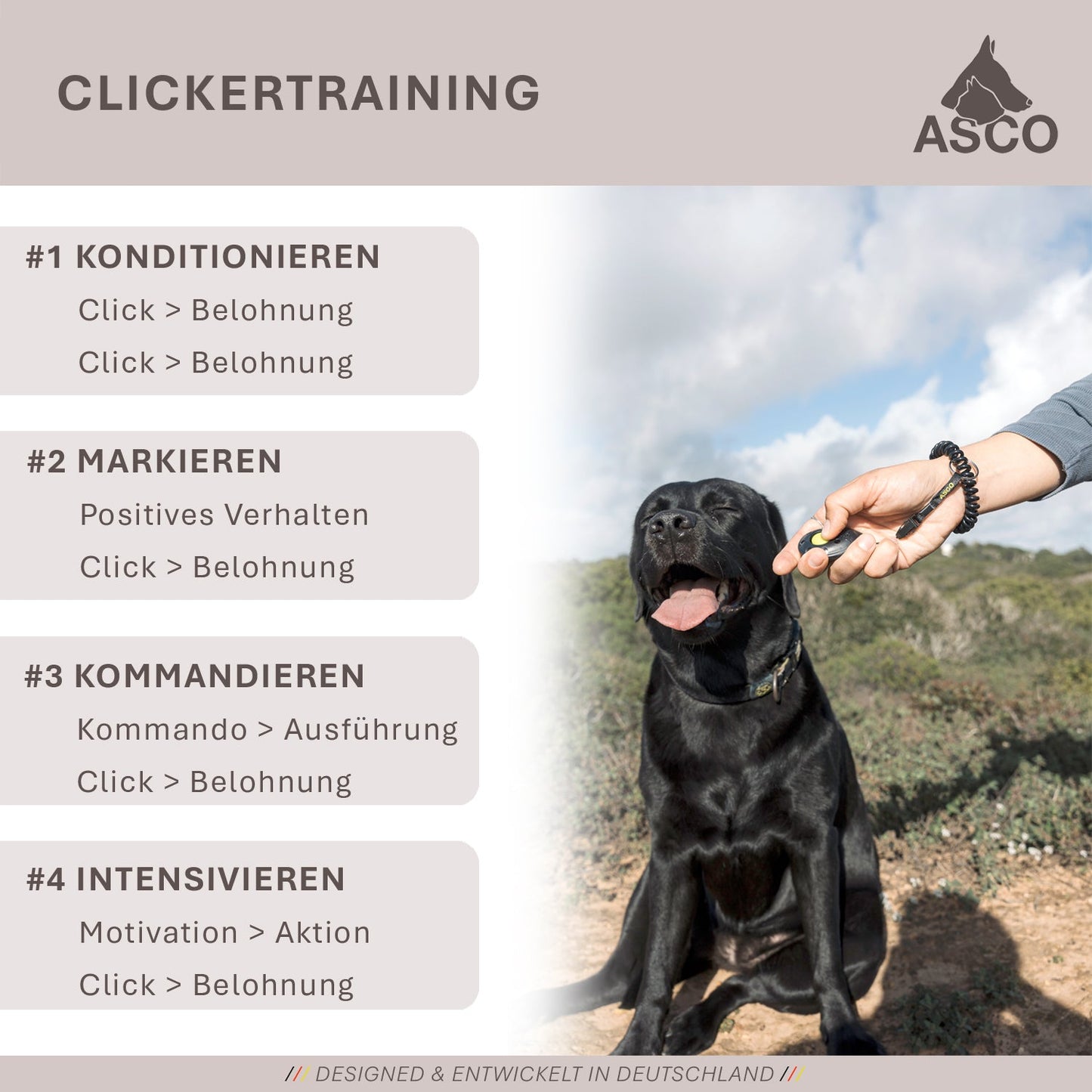 ASCO Finger Clicker - Klickerträning med premiumklicker för hundar, katter och hästar