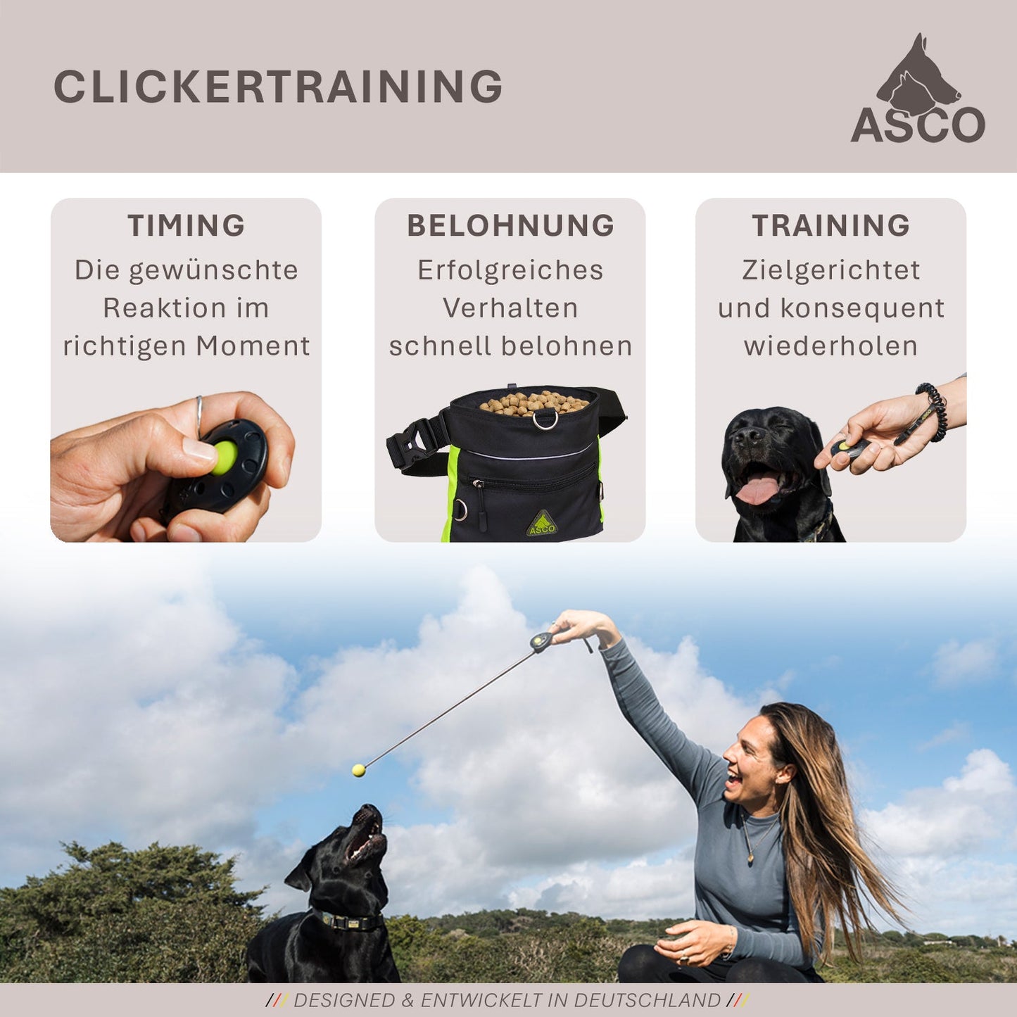 ASCO Finger Clicker - Klickerträning med premiumklicker för hundar, katter och hästar