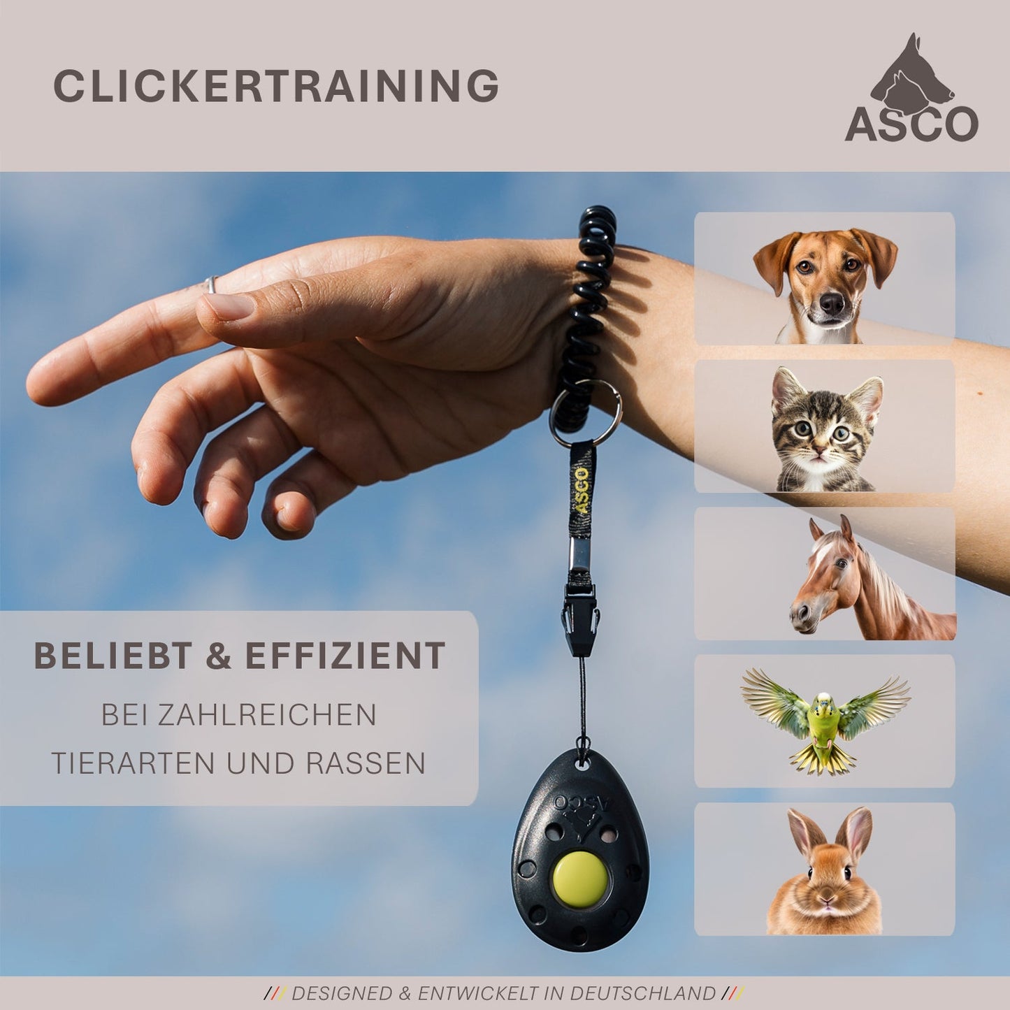 ASCO Finger Clicker - Klickerträning med premiumklicker för hundar, katter och hästar
