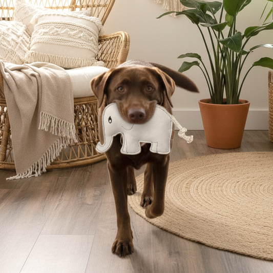 BUDDY. Hundeleksak av läder "Elefant"