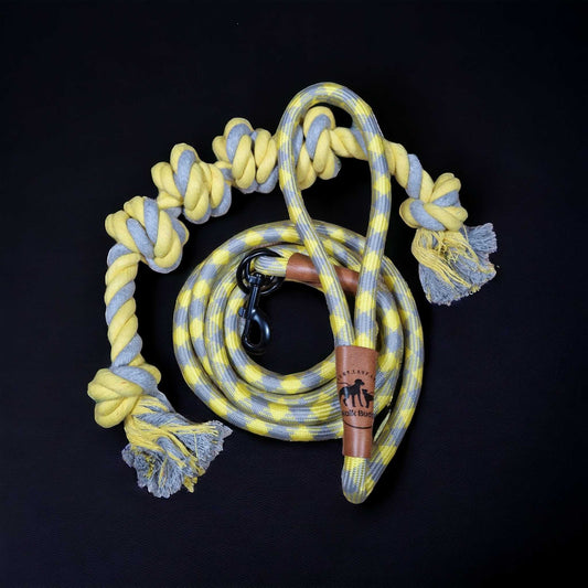 Hundeleine grau gelb mit gratis Tauseil und Kotbeutelspender