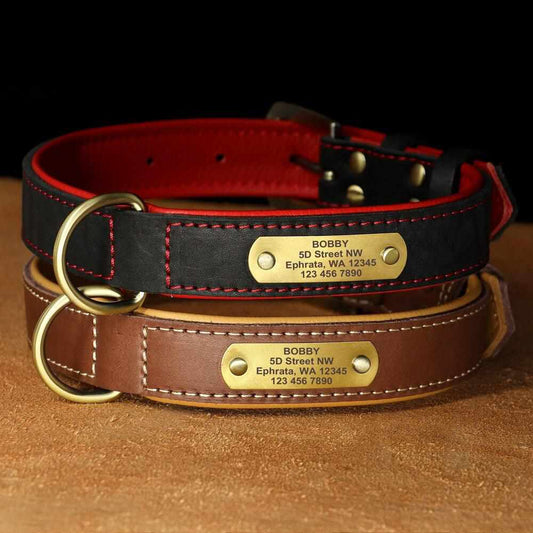 Exklusives Leder Hundehalsband mit großer Gravurplatte und gratis Gravur