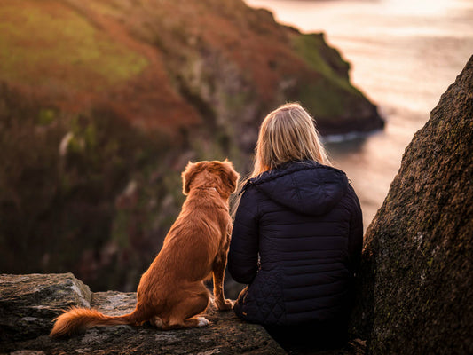 GPS Tracker Hund