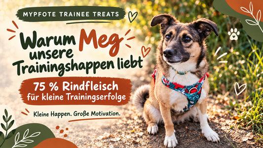 Meg beim Hundetraining – MyPfote Trainee Treats mit 75 Prozent Rindfleisch