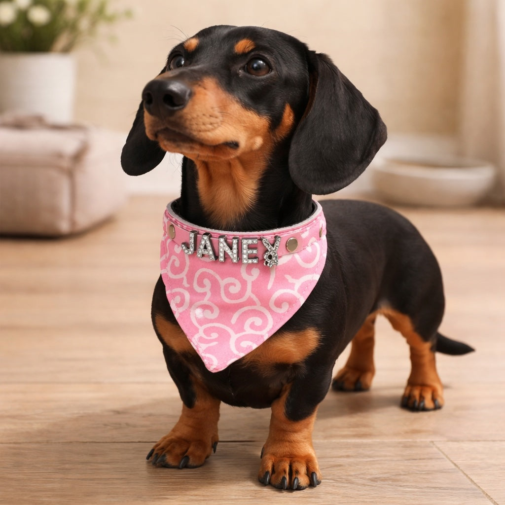 Hundbandana med namn och hundhalsband av äkta läder. Dekorerad med glittrande strassbokstäver