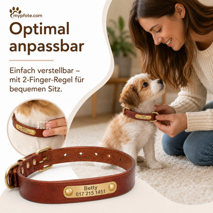 Läderhalsband med guldfärgad tagg, graverat namn och telefon