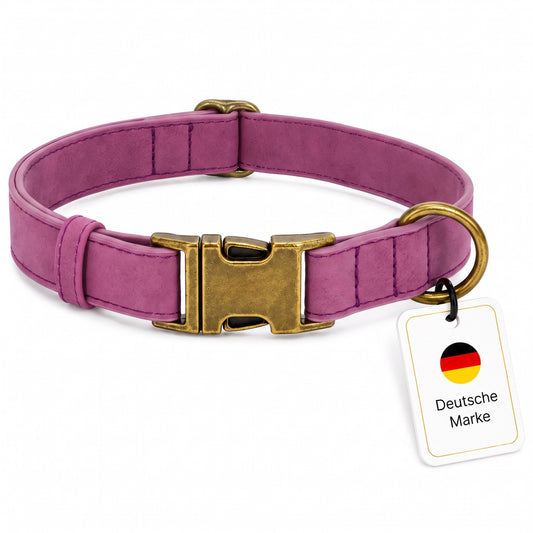 Klassiskt hundhalsband i vintage look med mässingsspänne och gratis gravering av namn och telefon
