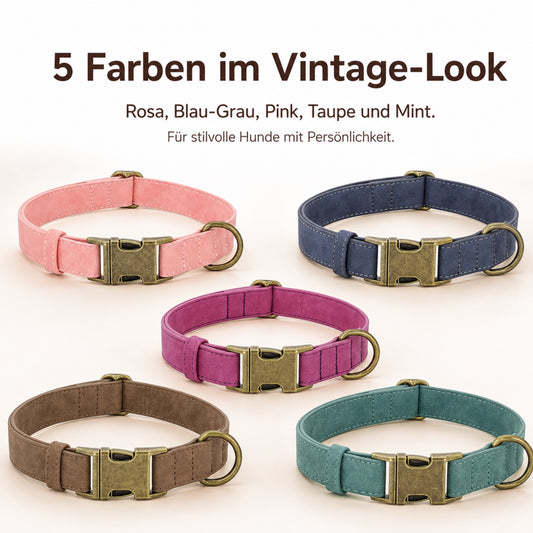 Klassiskt hundhalsband i vintage look med mässingsspänne och gratis gravering av namn och telefon