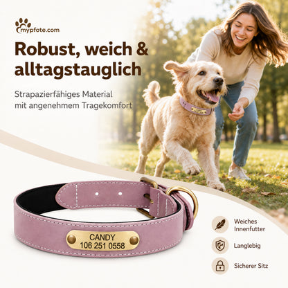 Vackert reflekterande hundhalsband med ingraverat namn 