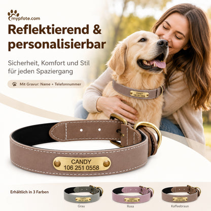 Vackert reflekterande hundhalsband med ingraverat namn 