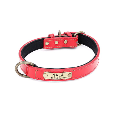 Rotes Leder Hundehalsband mit Name und Telefonnummer. Graviert auf Messingschild. Vintagelook der Schnalle. Neoprenpolsterung mit Polyestermesh