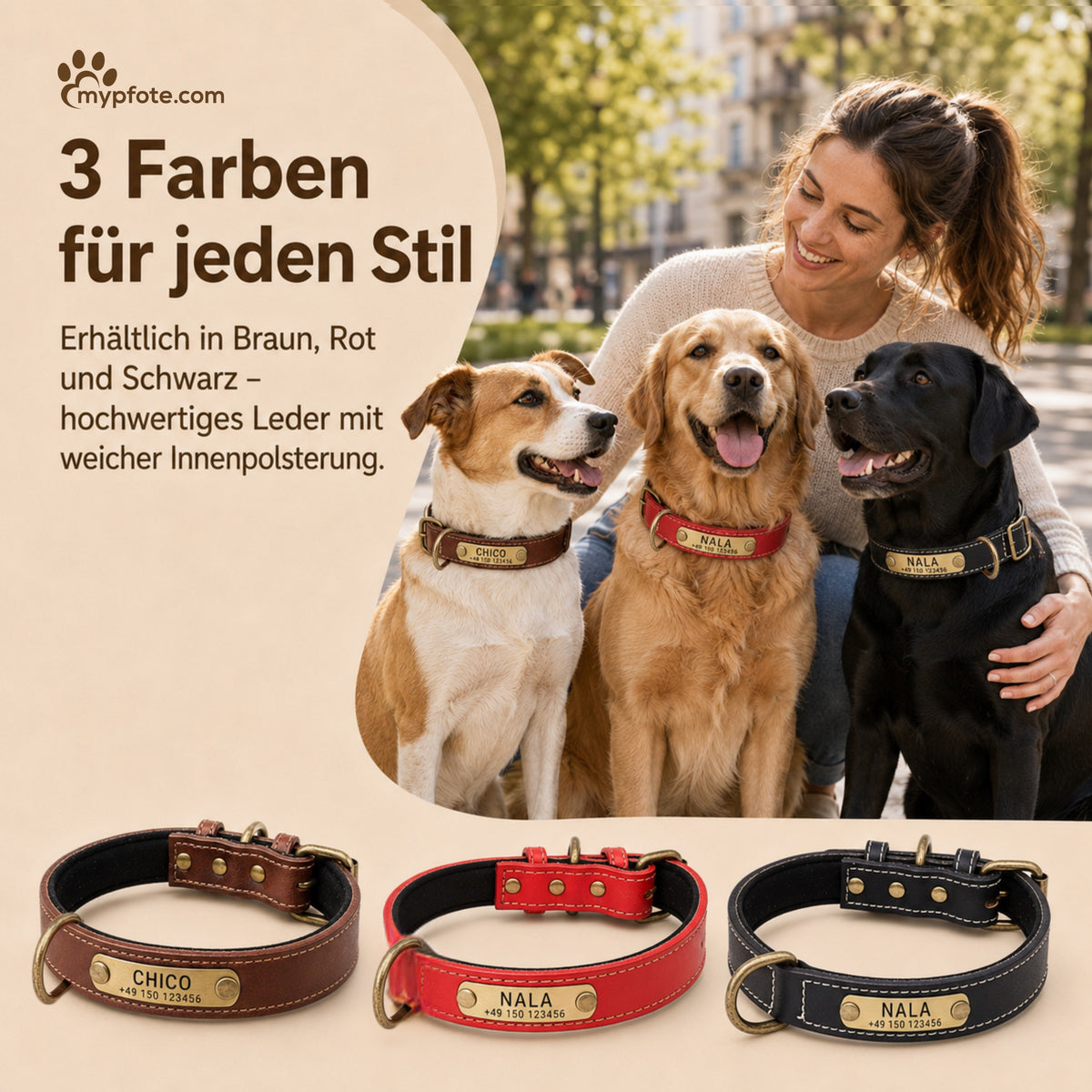 Hundkrage med namn på mässingstecken gjord av högkvalitativt läder, inhemsk stoppning av neopren, 2 massiva D-ringar