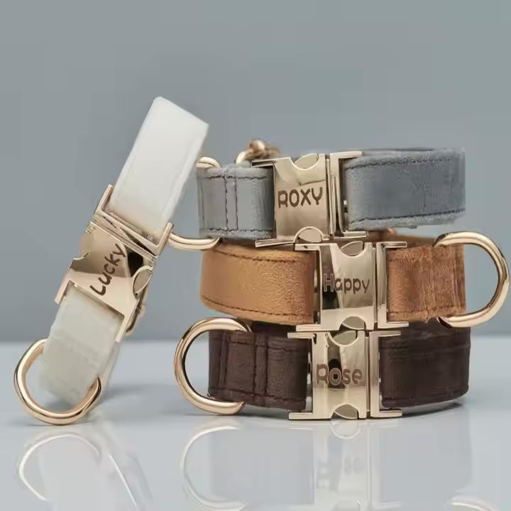 Personligt sammet hundhalsband "Emilia" med gravyr – Justerbart & Elegant 