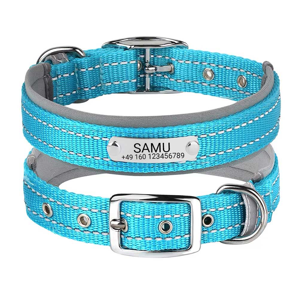 Graverat hundhalsband "Samu" med reflekterande säkerhetssömmar. Personifiering med namn och telefonnummer