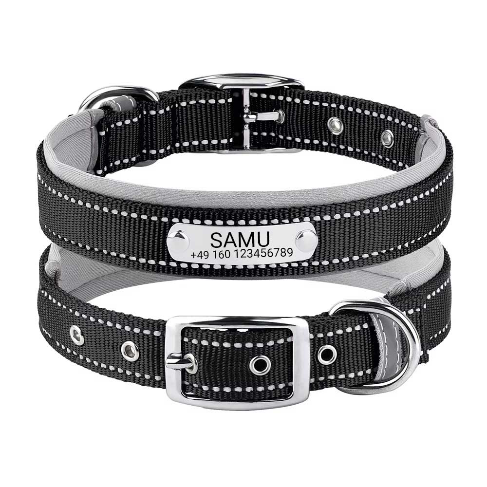 Graverat hundhalsband "Samu" med reflekterande säkerhetssömmar. Personifiering med namn och telefonnummer