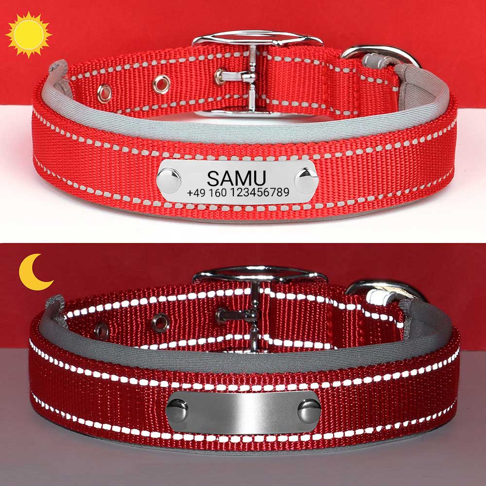 Graverat hundhalsband "Samu" med reflekterande säkerhetssömmar. Personifiering med namn och telefonnummer