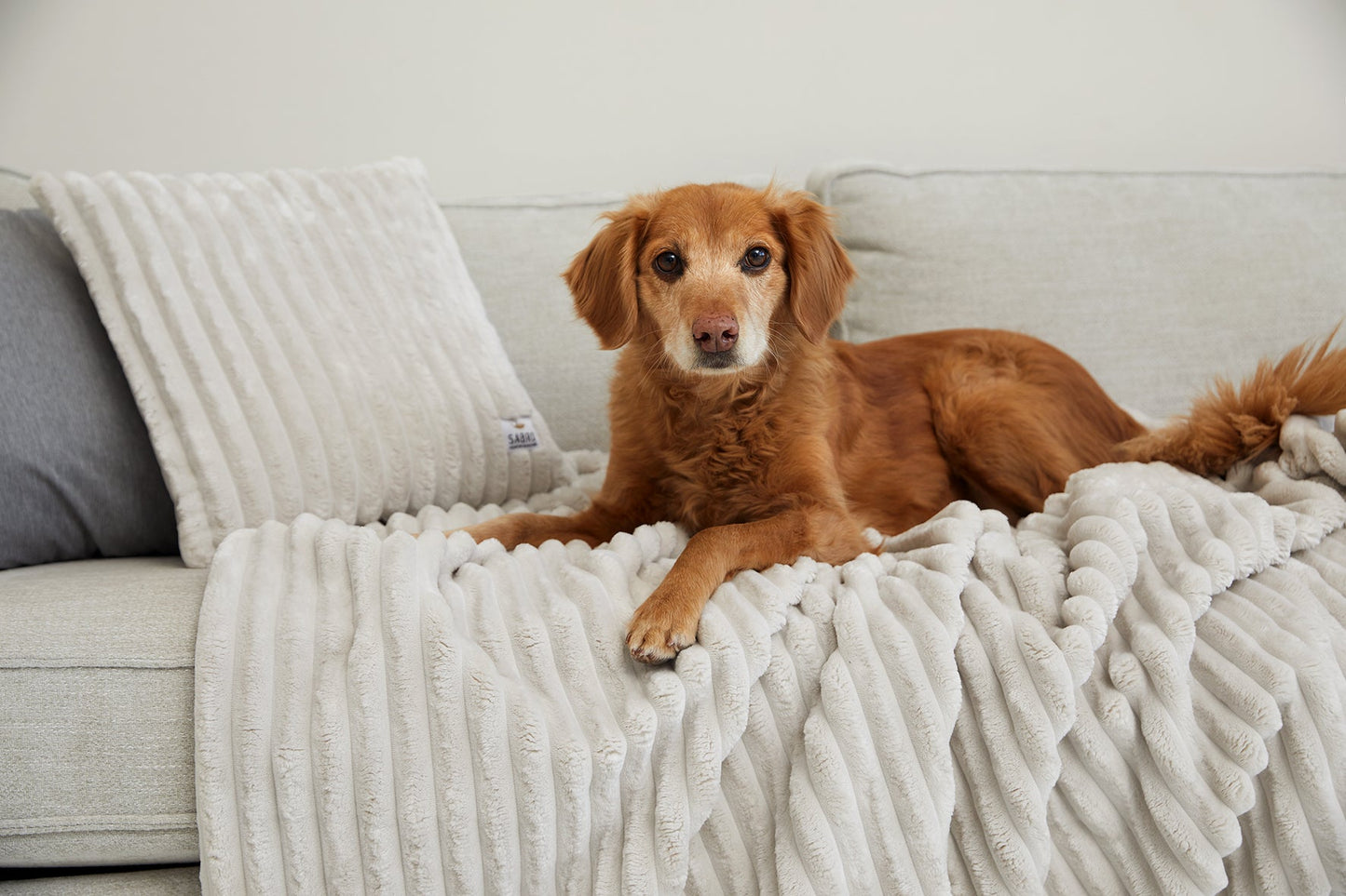 Kuscheldecke VÄRME Breitcord