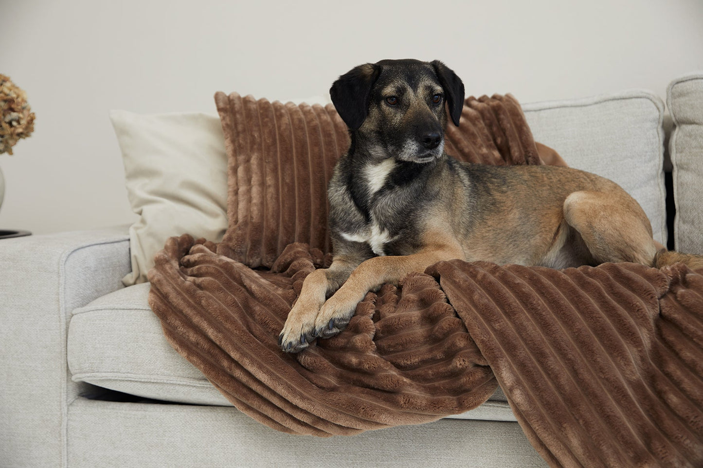 Kuscheldecke VÄRME Breitcord