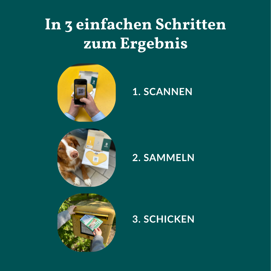 Wurmtest Basic Hund Sparpaket