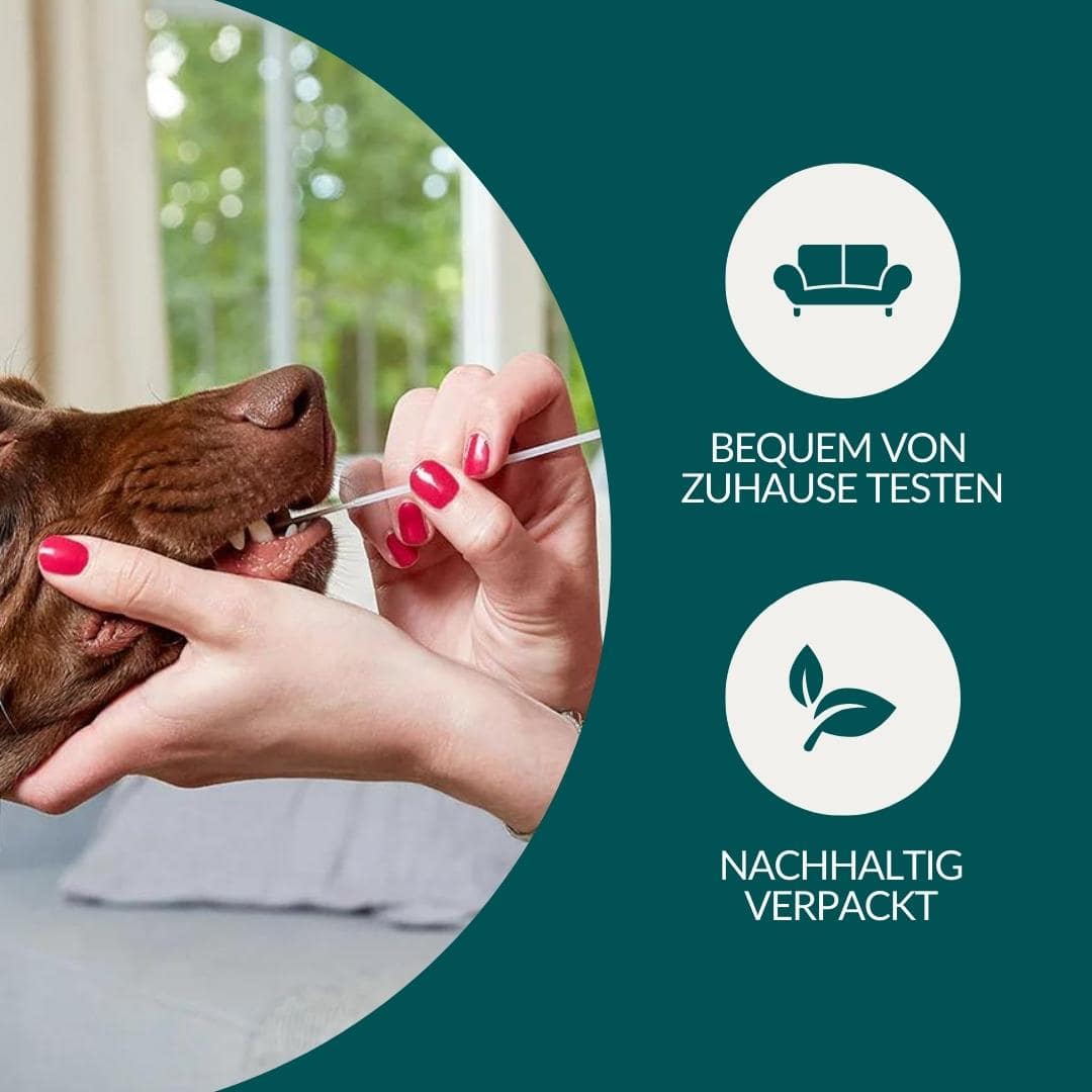 Mikronährstofftest - Mängel Hund