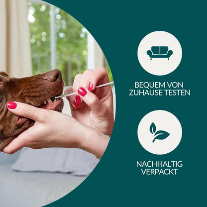 Mikronährstofftest - Mängel Hund