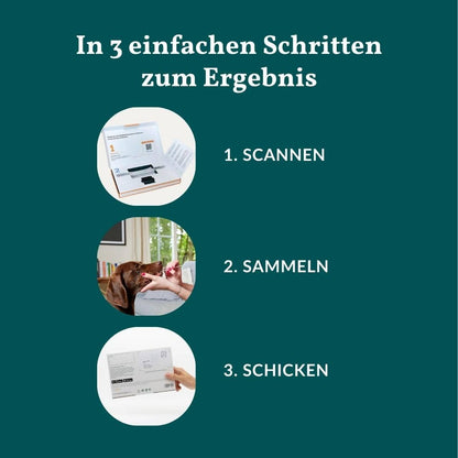 Mikronährstofftest - Mängel Hund