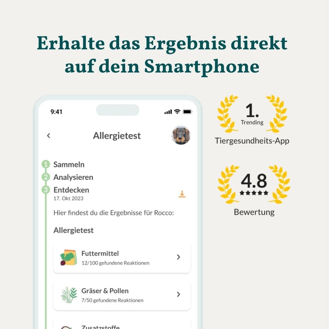 Allergietest Basic Hund