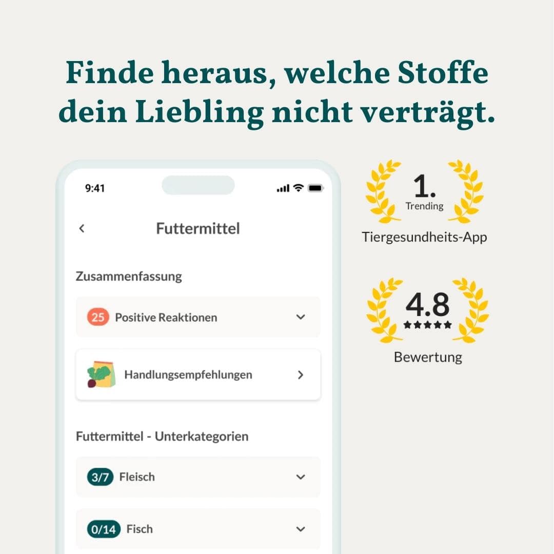 Allergietest Basic Hund