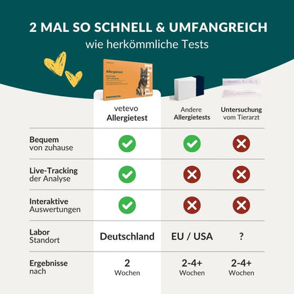 Allergietest Basic Hund