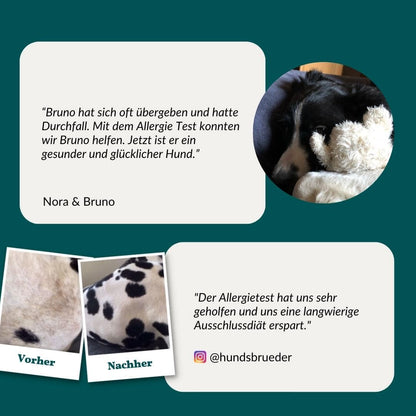 Allergietest Basic Hund
