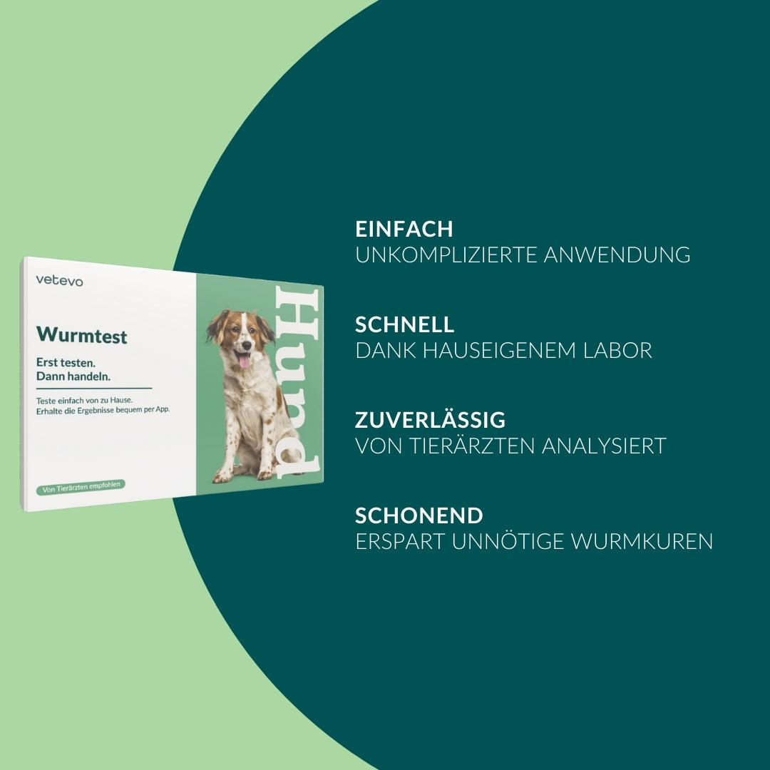 Wurmtest Basic Hund Sparpaket