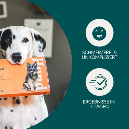 Allergietest Pro Hund