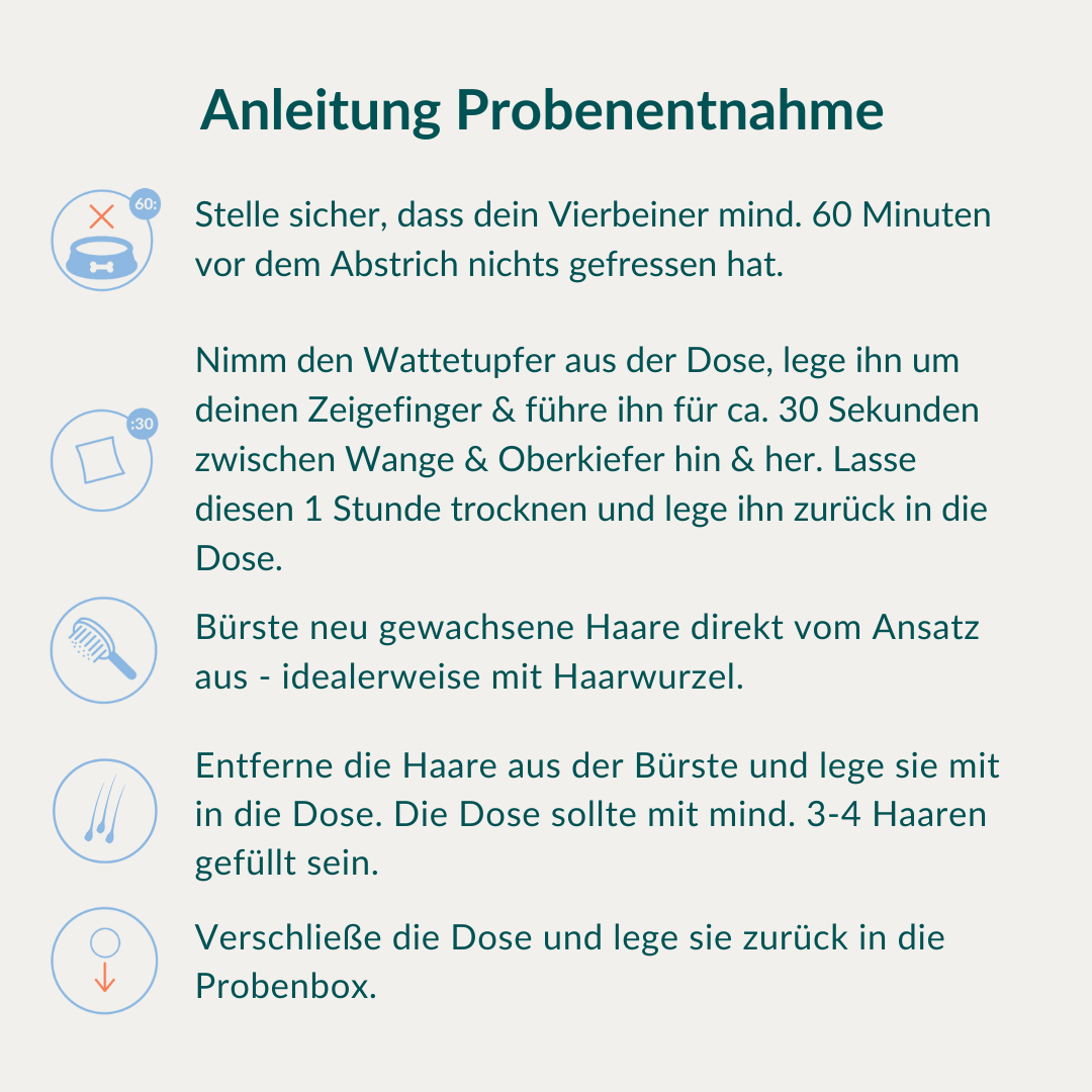 Allergietest Basic Hund