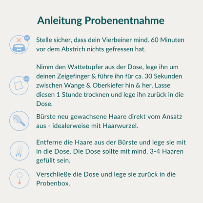 Allergietest Basic Hund