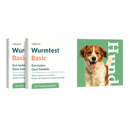 Wurmtest Basic Hund