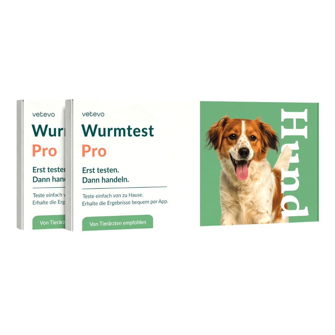 Wurmtest Pro Hund