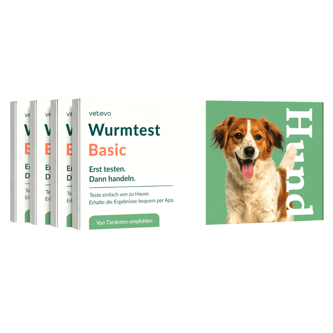 Wurmtest Basic Hund