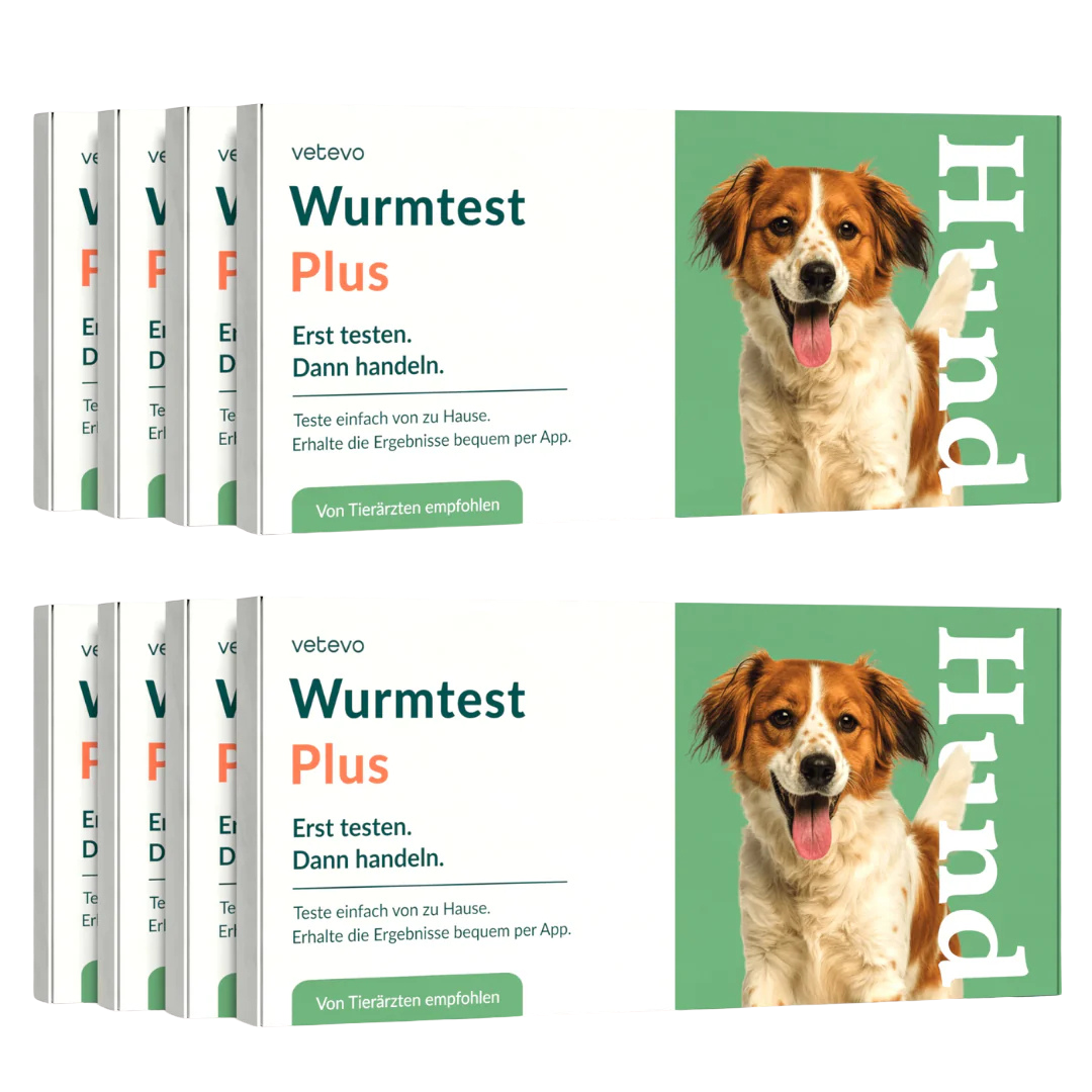 Wurmtest Plus Hund Sparpaket