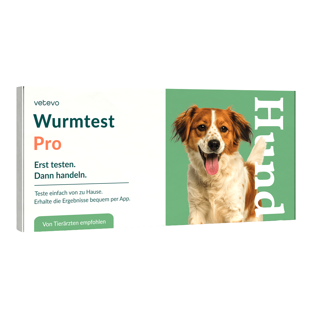 Wurmtest Pro Hund