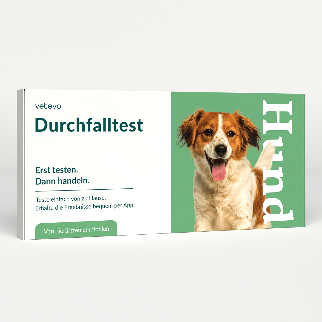 Durchfalltest Hund