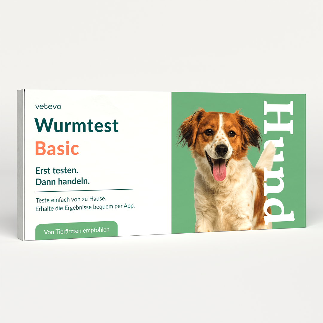 Wurmtest Basic Hund