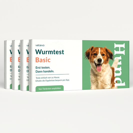 Wurmtest Basic Hund Sparpaket