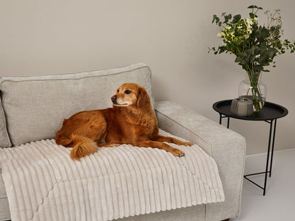 Einlage MJUCK Breitcord